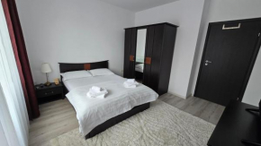 Rizart Stay with underground Parking Lujerului